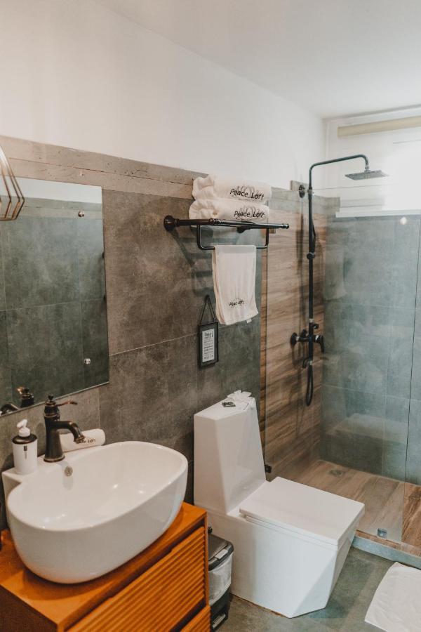 Peace Lofts And Apartments Playa Santa Teresa  ภายนอก รูปภาพ